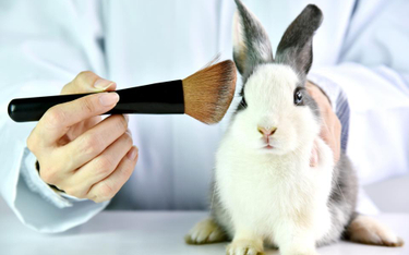 PE chce światowego zakazu testowania kosmetyków na zwierzętach