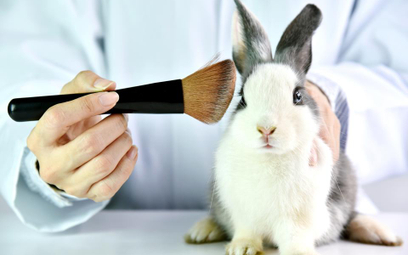 PE chce światowego zakazu testowania kosmetyków na zwierzętach