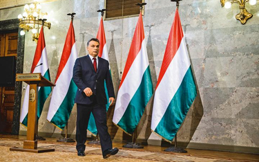Niewiadowski: Orban, frank i źli bankierzy