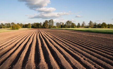 Dziś tylko 0,3 ha ziemi nie dotyczą ograniczenia w obrocie.