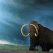 Mamut