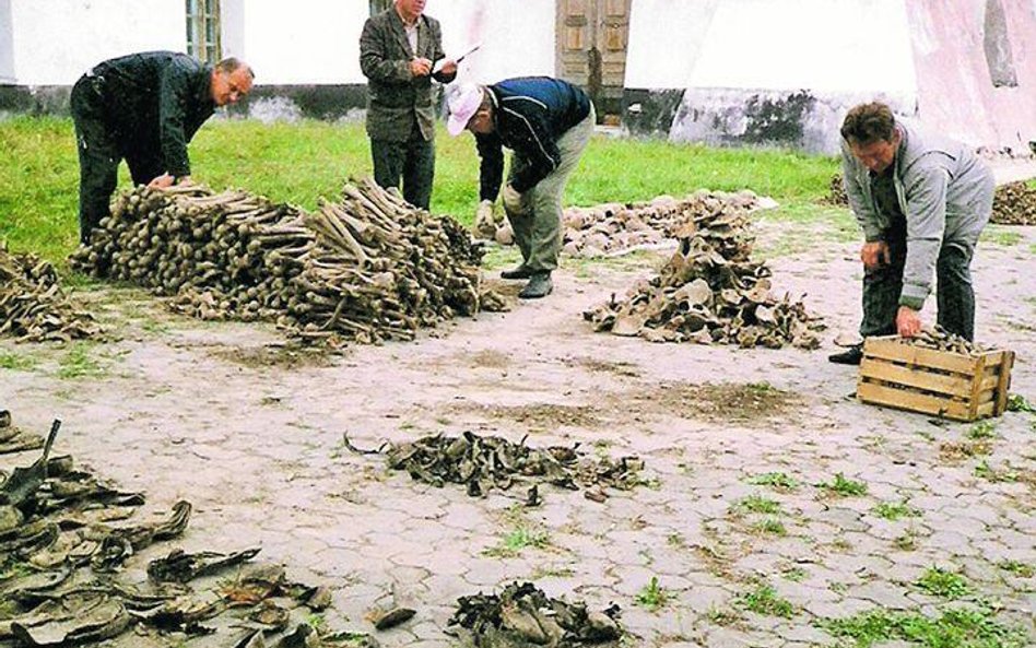 Szczątki znalezione w masowym grobie