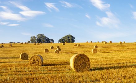 Akcyza: czy biogaz rolniczy to odnawialne źródło energii