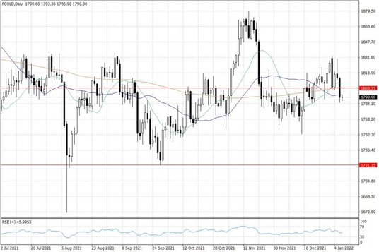 Notowania złota – dane dzienne