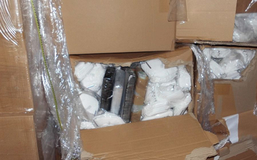 Wielka Brytania: 14 kg kokainy w polskiej furgonetce z maseczkami medycznymi