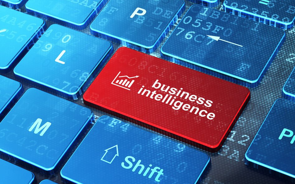 Raportowanie w stylu Bussines Intelligence