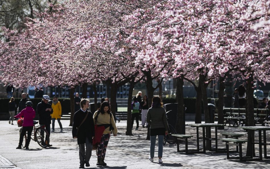 Ogrody Królewskie, park w centrum Sztokholmu. 1 kwietnia 2020