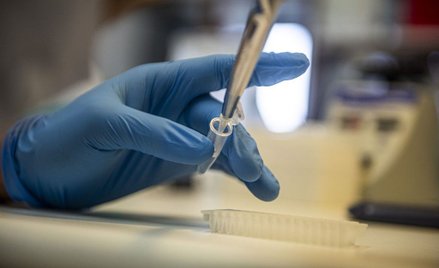 WHO: Przyjrzymy się uważnie badaniom na temat nowego wirusa