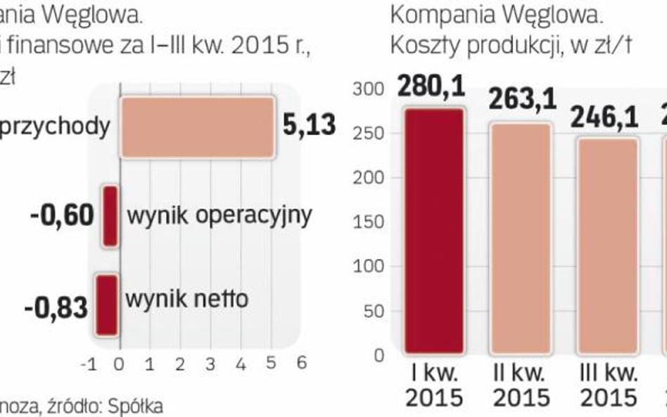 Głębokie straty węglowej spółki