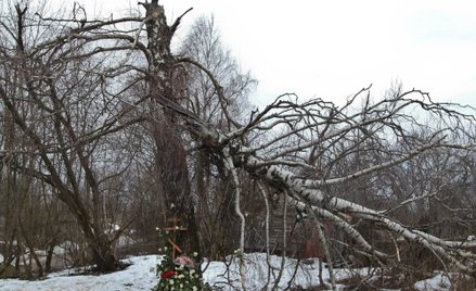 Prof. Wiesław Binienda: W sprawie Smoleńska konieczna jest międzynarodowa komisja
