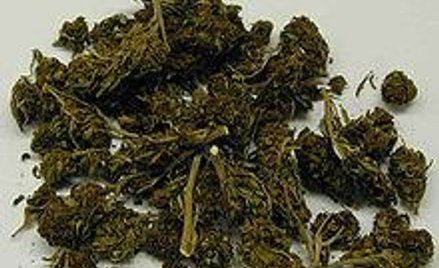 Marihuana