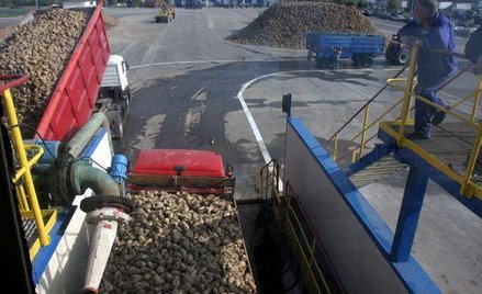 Nie każda lokalna droga może stać się drogą gminną