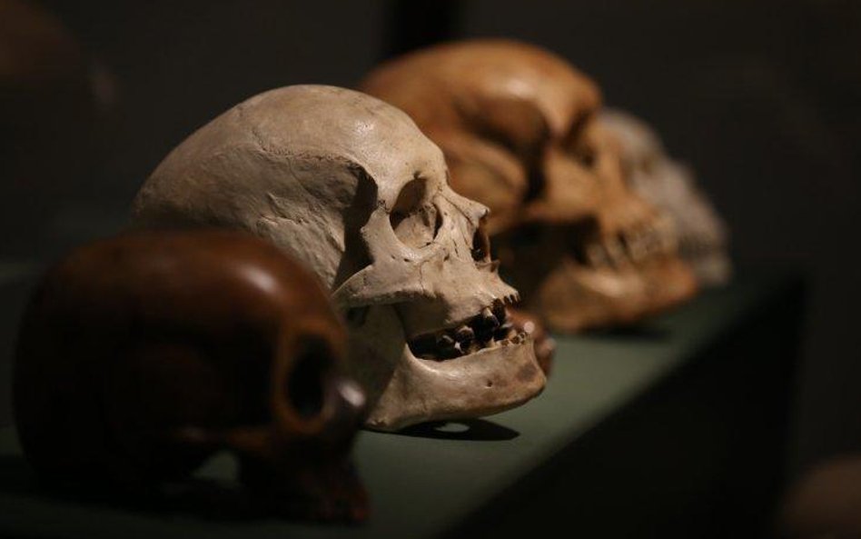 Czaszki z kolekcji Damiena Hirsta