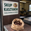 Ruszył skup kasztanów 2026. Ceny za kilogram zależą od skupu