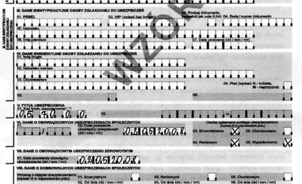 Wykazujemy składki za prowadzących działalność w formularzach ubezpieczeniowych