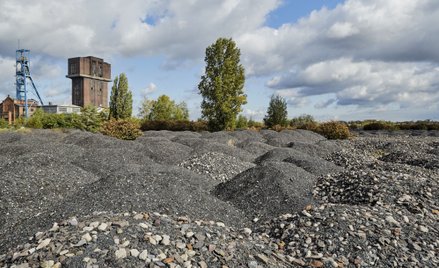 Transformacja górnictwa to nie tylko górnicy i kopalnie, ale i teren wokół zakładów. Na zdj. kopalni
