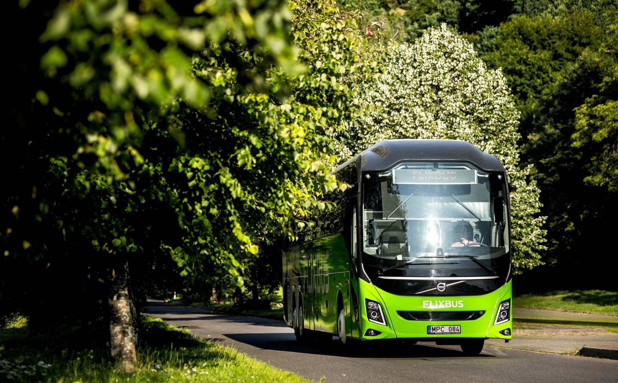 Linią 666 na Hel - rusza nowe wakacyjne połączenie FlixBusa