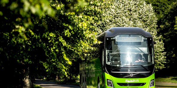 Linią 666 na Hel - rusza nowe wakacyjne połączenie FlixBusa