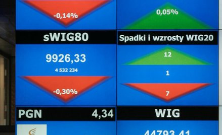 Małe spółki pogrążane przez problemy TFI