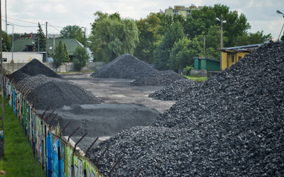 PGE Paliwa na mocy decyzji premiera sprowadziła 10 mln ton węgla z importu, z czego 30–40 proc. po o