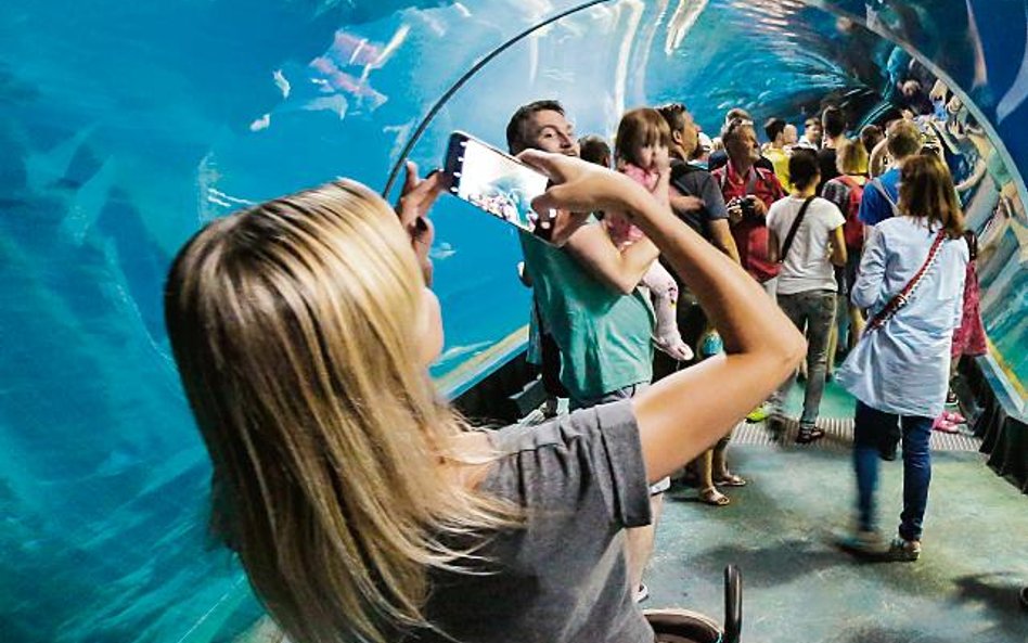 Wrocławskie Afrykarium odwiedza rocznie 2 mln osób.