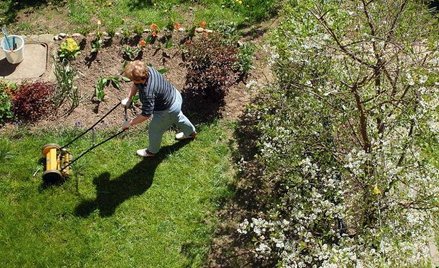 PO: uwłaszczyć działkowców