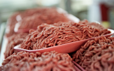Zamienniki mięsa chwyciły w Polsce. Wpisujemy się w światowe trendy
