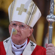Krzyżak: Pożaru nie da się ugasić benzyną