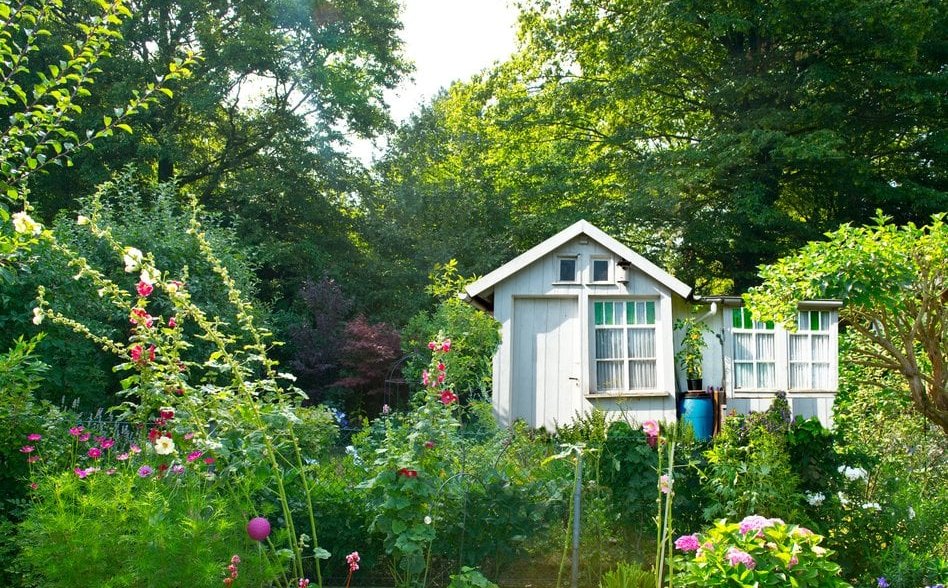 Sezon na działki letniskowe. Ile za nieruchomość na wakacje?
