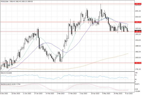 Notowania złota – dane dzienne