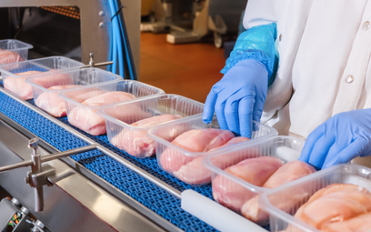 Rząd Włoch chce zakazać mięsa z laboratorium