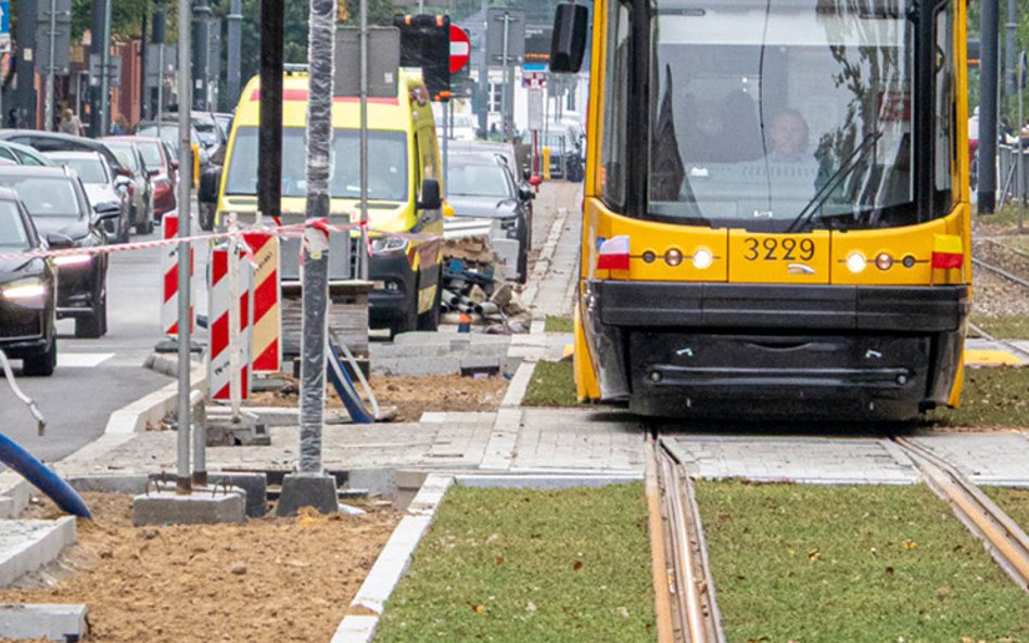 Nowe torowisko jest częściowo porośnięte rozchodnikiem