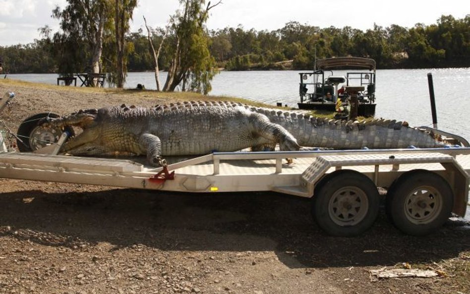 Zastrzelił stuletnią legendę Australii. 10 tys. dolarów kary