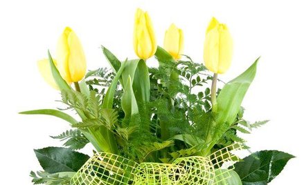 Znaki towarowe jako słowa kluczowe w AdWords