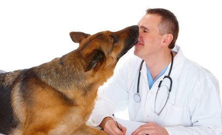 Naukowcy: Męskie brody są brudniejsze niż psia sierść