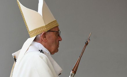 Holenderski kardynał krytykuje papieża Franciszka