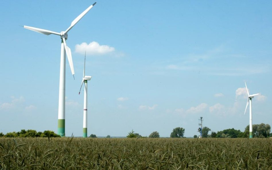 Chiński bank chce wspierać polską zieloną energetykę