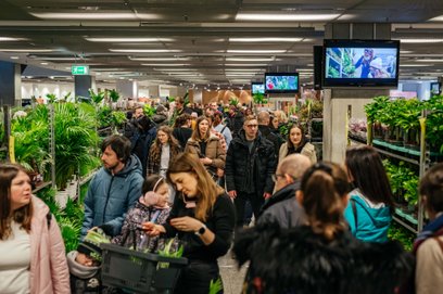 Niskie ceny i potężny wybór przyciągają tłumy roślinomaniaków