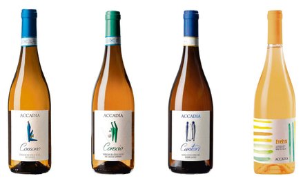 Wina Mazurka: Wino o wschodzie słońca