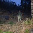 Pakistan oskarża Indie o zbombardowanie 19 drzew