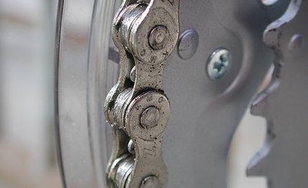 Pomimo obaw OECD jest przekonane, że sytuacja wolno będzie wracać do normy