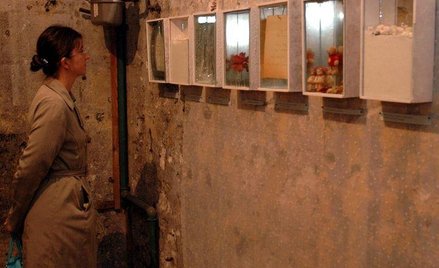 "Fuga pamięci", instalacja autorstwa Krystiany Robb-Narbutt