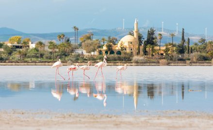 LOT wraca na popularną trasę na południe Europy