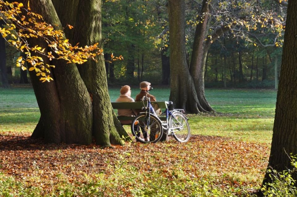 Potrzebujemy mieszkań dla seniorów. Prognozy demograficzne są bezlitosne