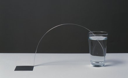 Koji Kamoji ”Martwa natura”, 2003-2013, instalacja