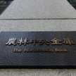 Bank Japonii nie zmienił stóp. Rentowność obligacji najwyższa od dekady