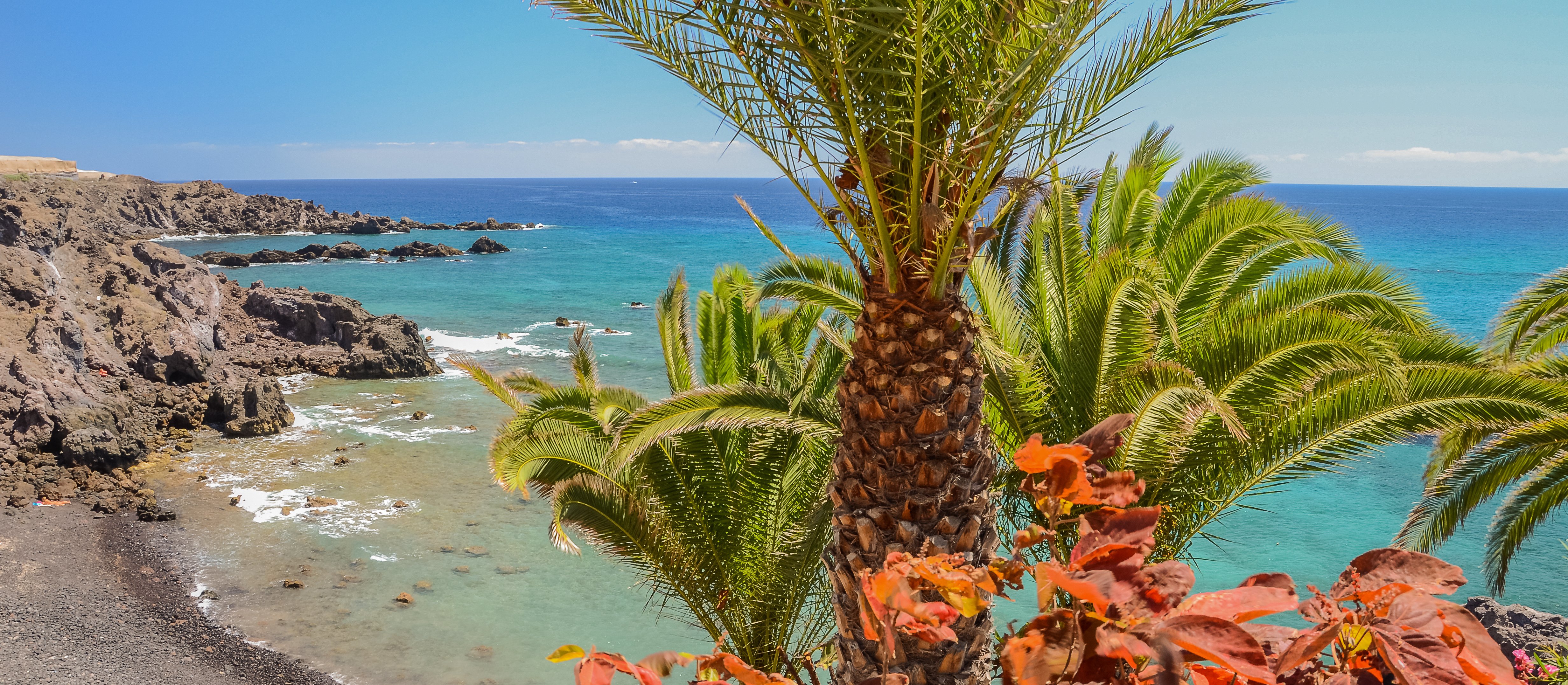 Wycieczka na Kanary dla kierownika w podatkowych kosztach firmy? Fiskus jest na tak