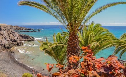 Fiskus uznał, że dodatkowe wynagrodzenie może przybrać formę wykupionej wycieczki.