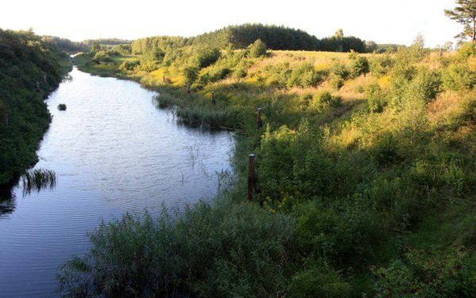 Jak dbać o środowisko i jednocześnie budować drogi