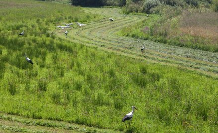 Ziemia rolna już nie drożeje